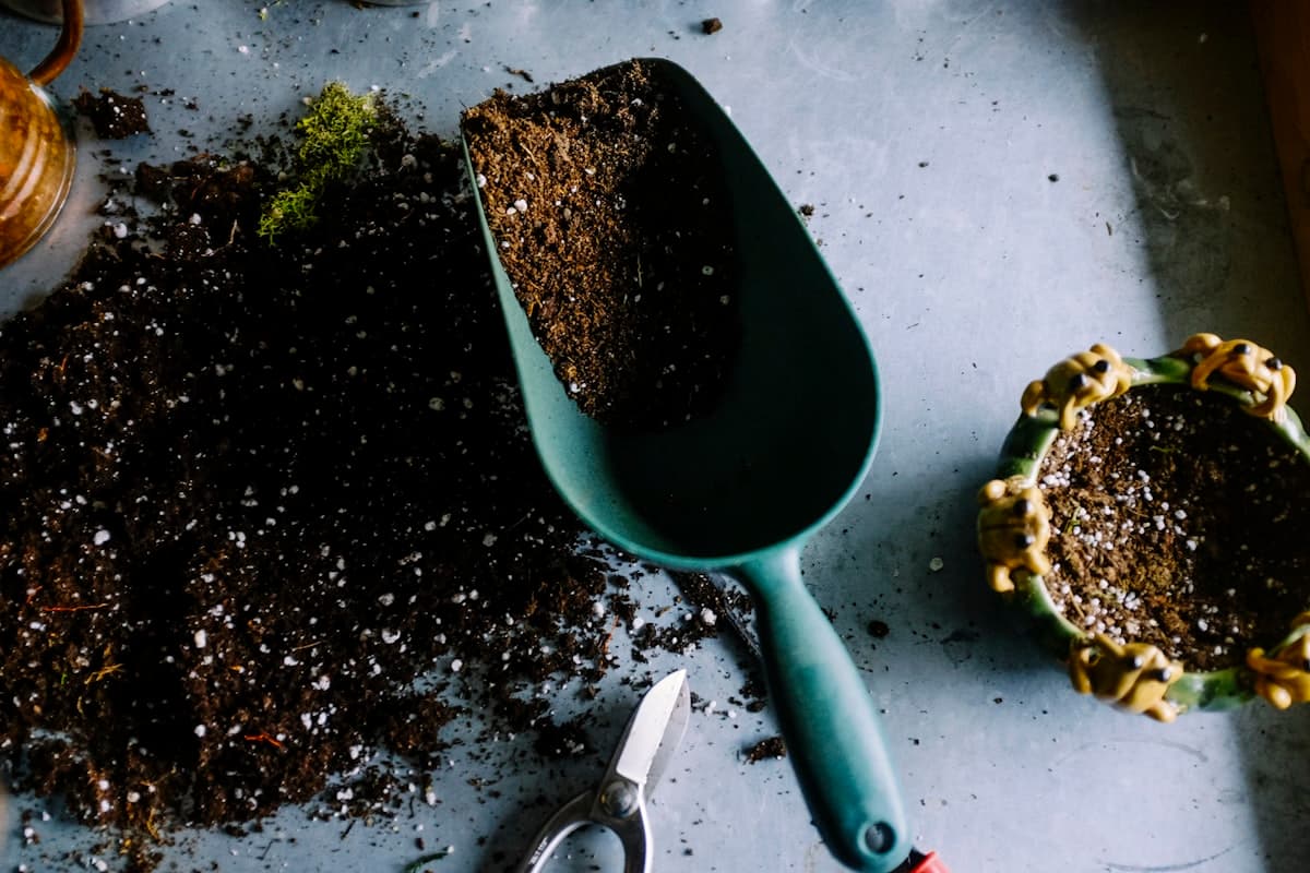 Container Gardening Mastery